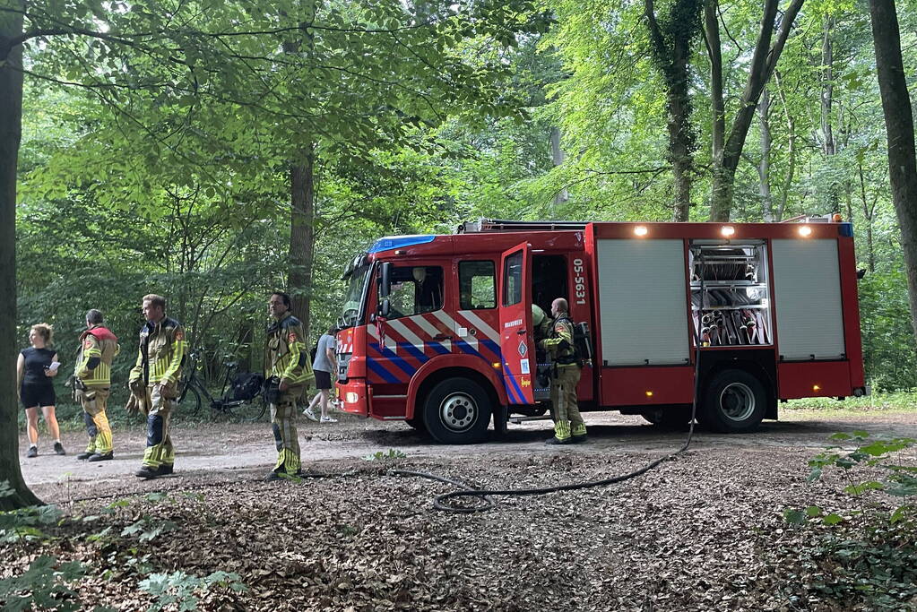 Brand midden is bosgebied