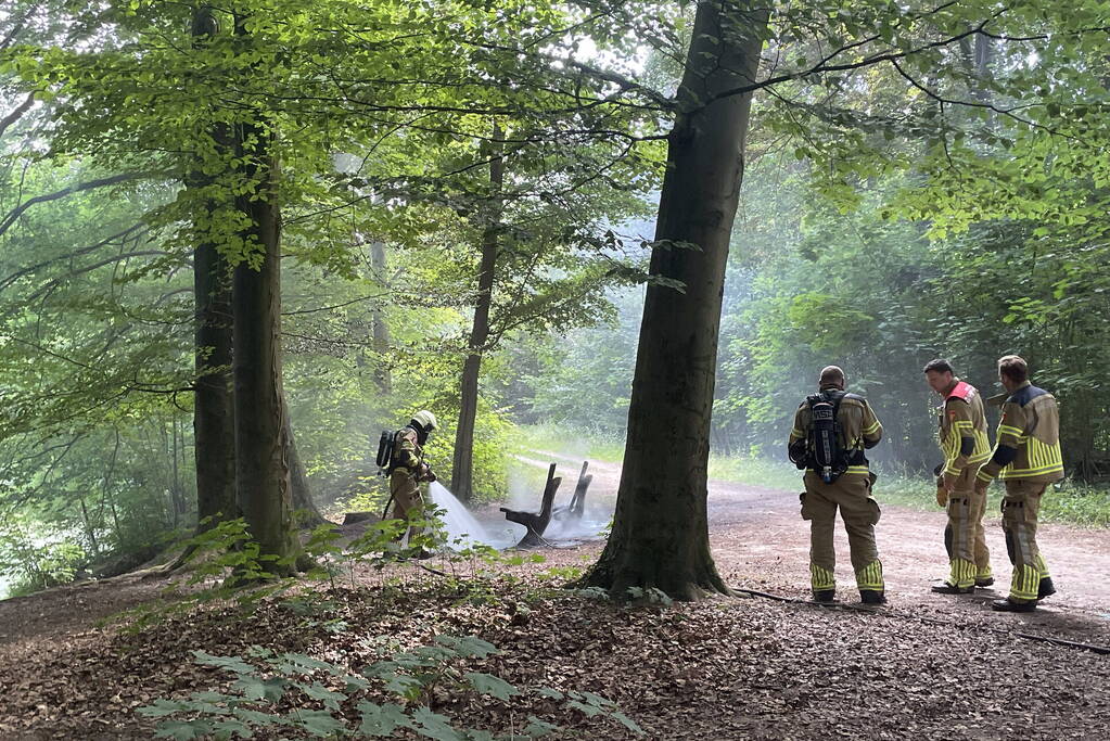 Brand midden is bosgebied