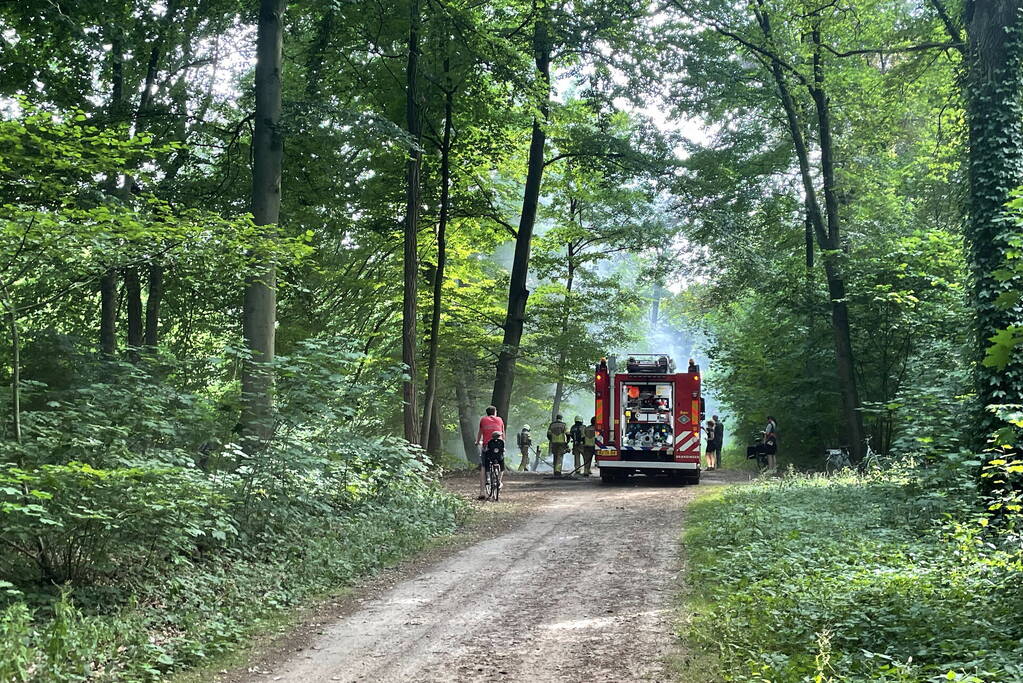 Brand midden is bosgebied