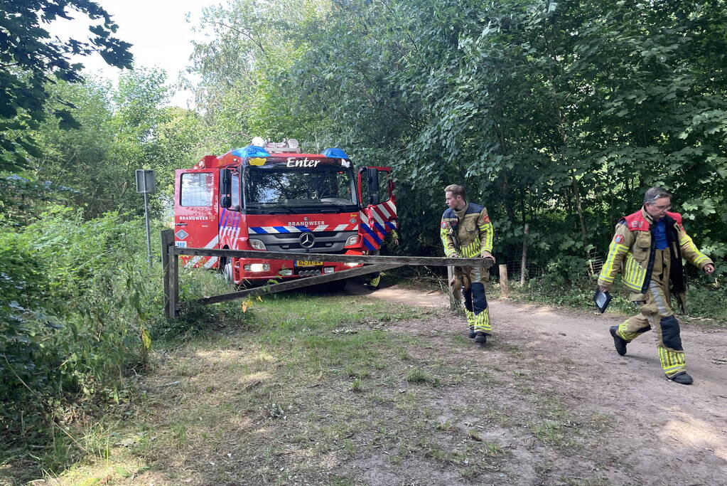 Brand midden is bosgebied