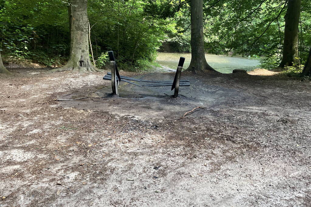 Brand midden is bosgebied