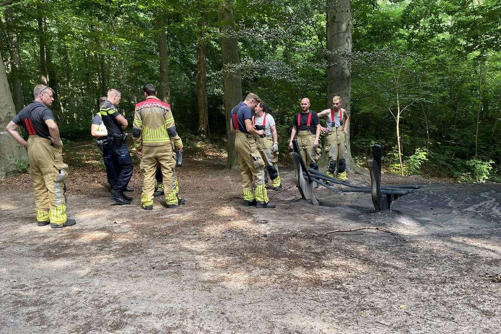 Brand midden is bosgebied