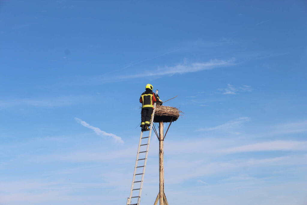 Brandweer zet jonge ooievaar terug in nest