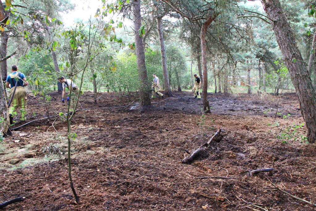 Brand in bosgebied opnieuw geblust