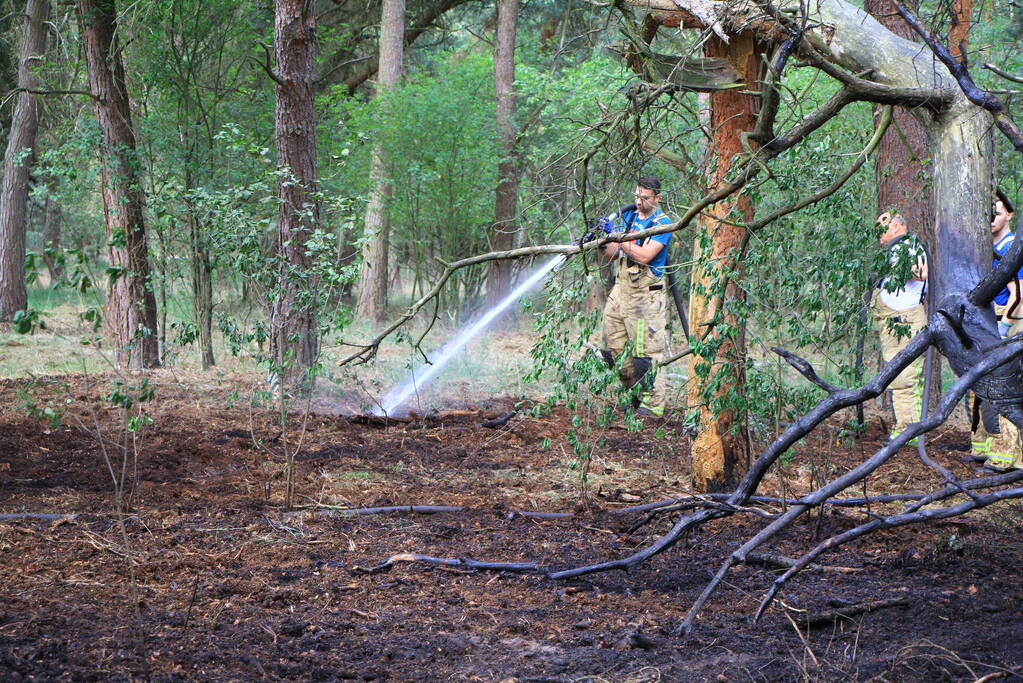Brand in bosgebied opnieuw geblust