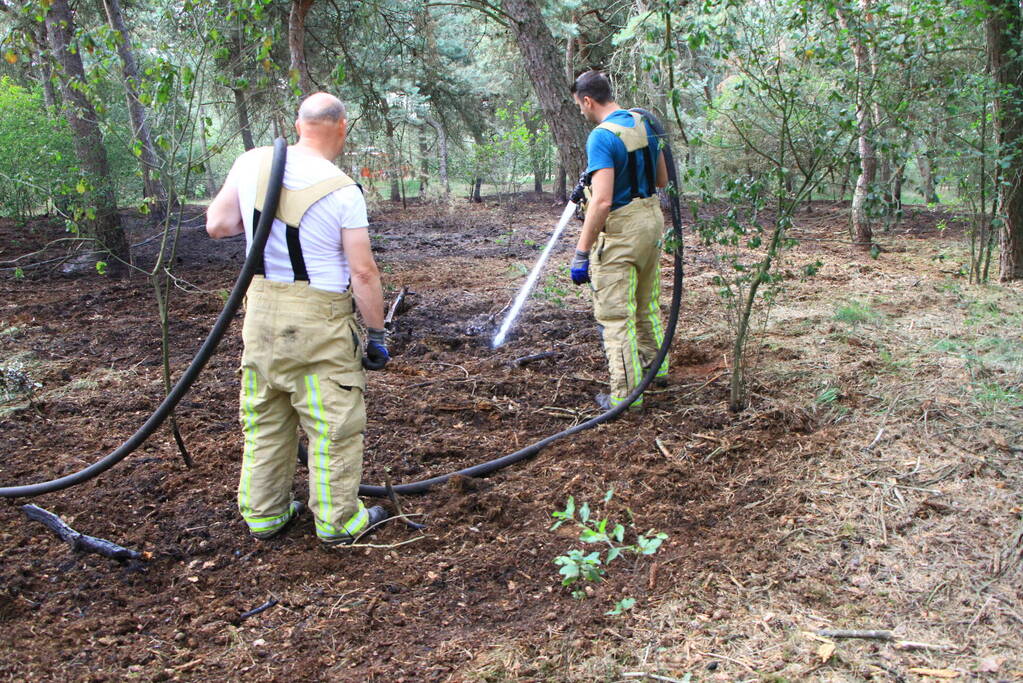Brand in bosgebied opnieuw geblust