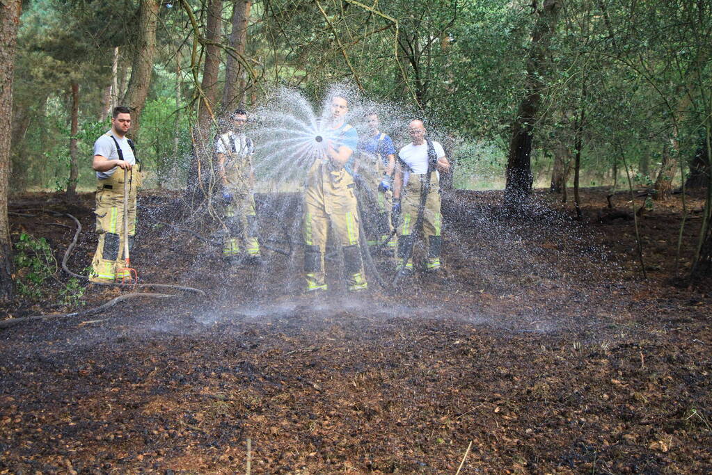Brand in bosgebied opnieuw geblust