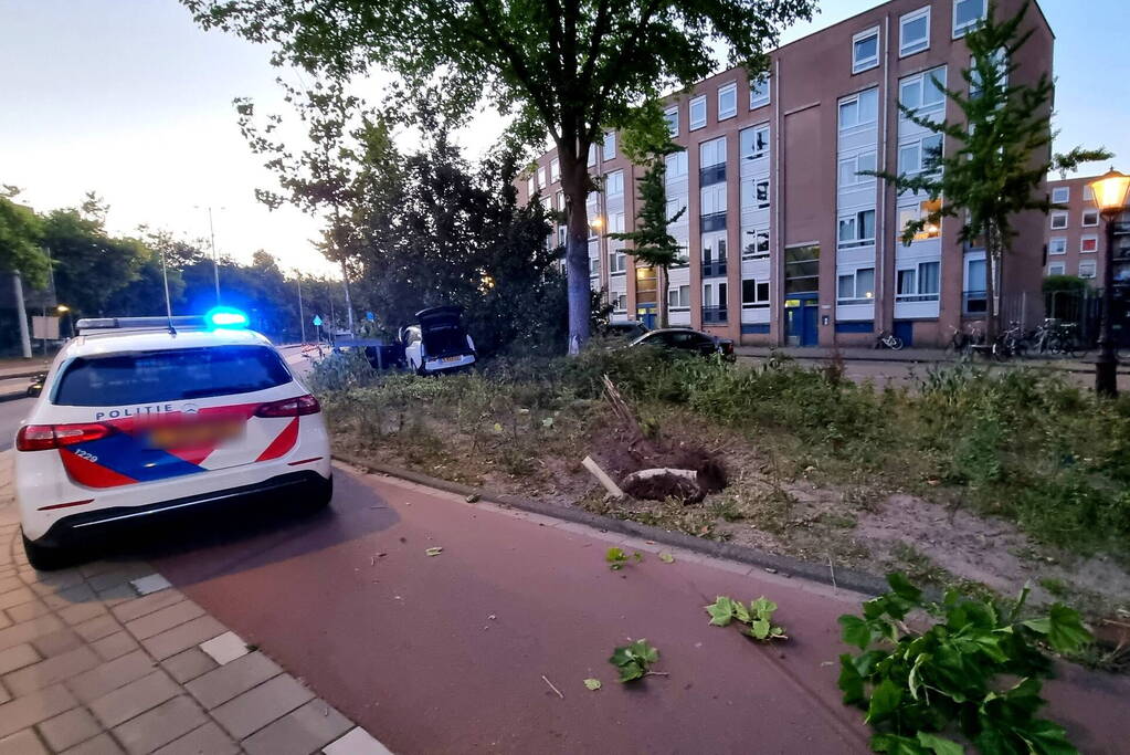 Automobilist vlucht na crash in struiken
