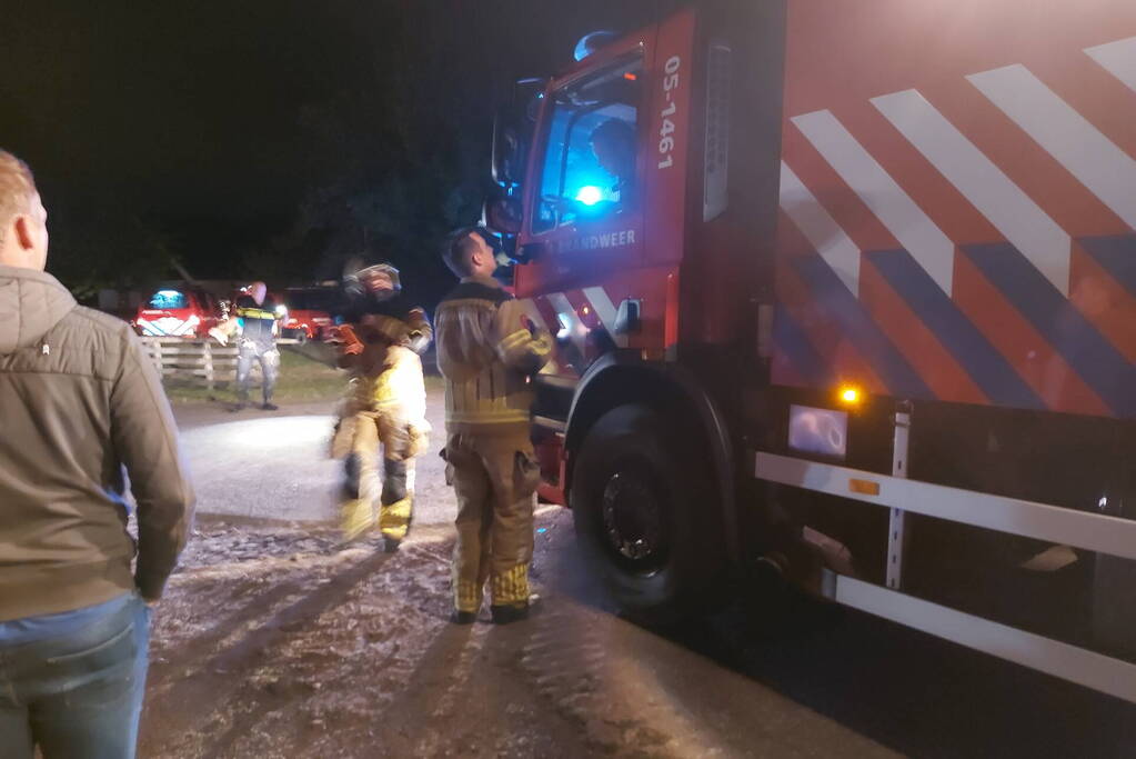 16 dieren omgekomen bij brand