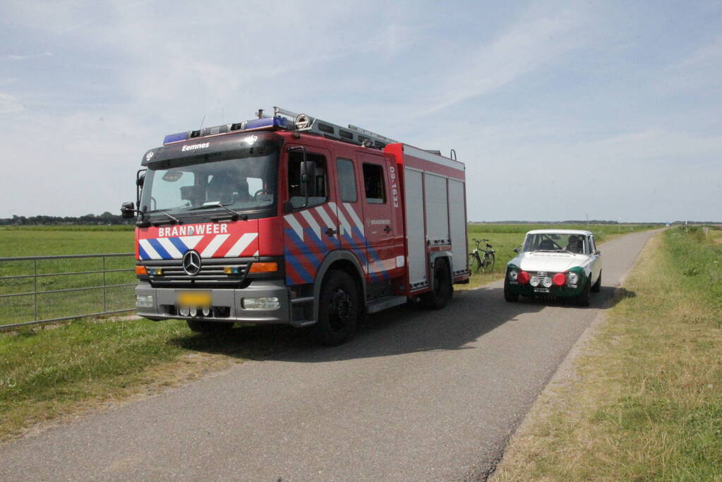 Brandweer redt twee koeien uit de sloot