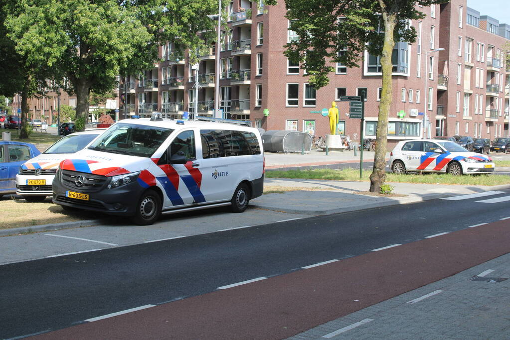 Kindje overleden bij steekincident