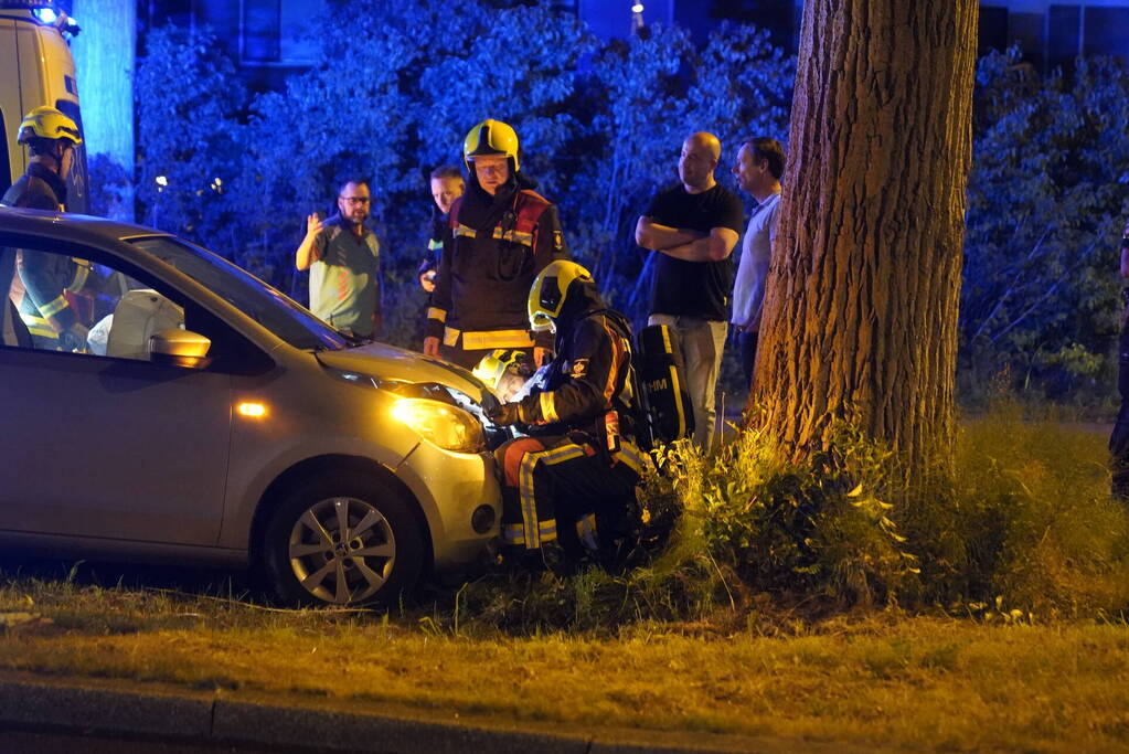 Auto botst frontaal op boom