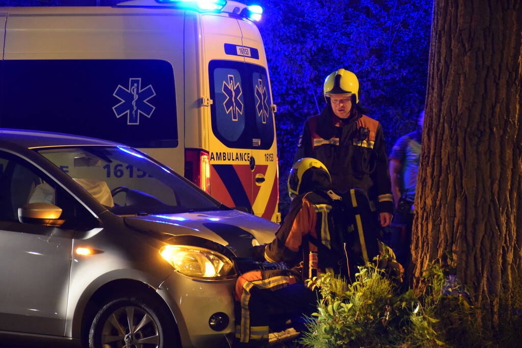 Auto botst frontaal op boom