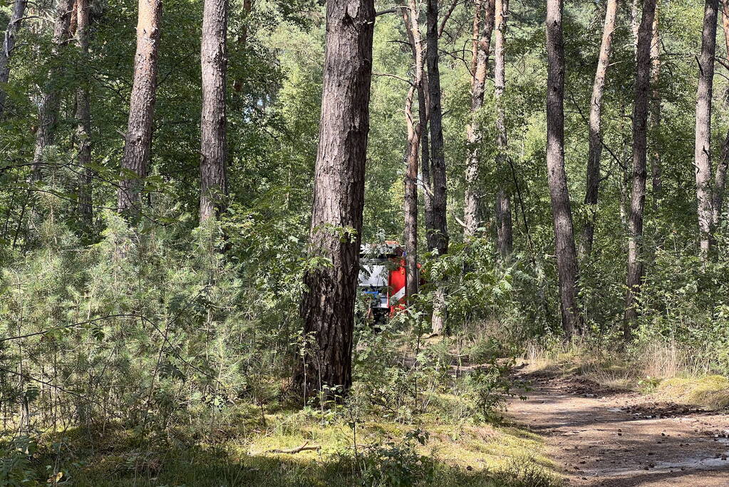 Flinke natuurbranden op de Brunssummerheide