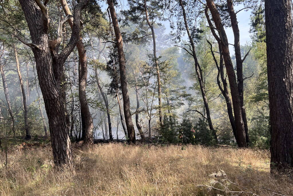 Flinke natuurbranden op de Brunssummerheide