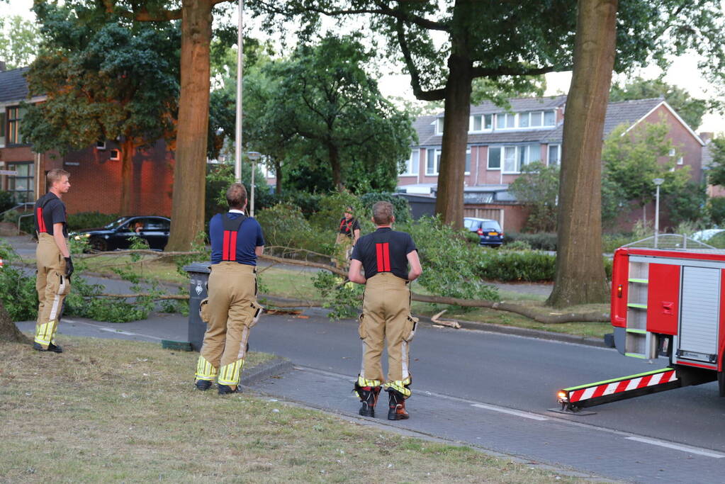 Brandweer verwijdert tak van doorgaande weg