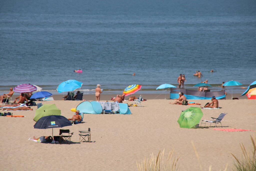 Drukte op het Maasvlaktestrand
