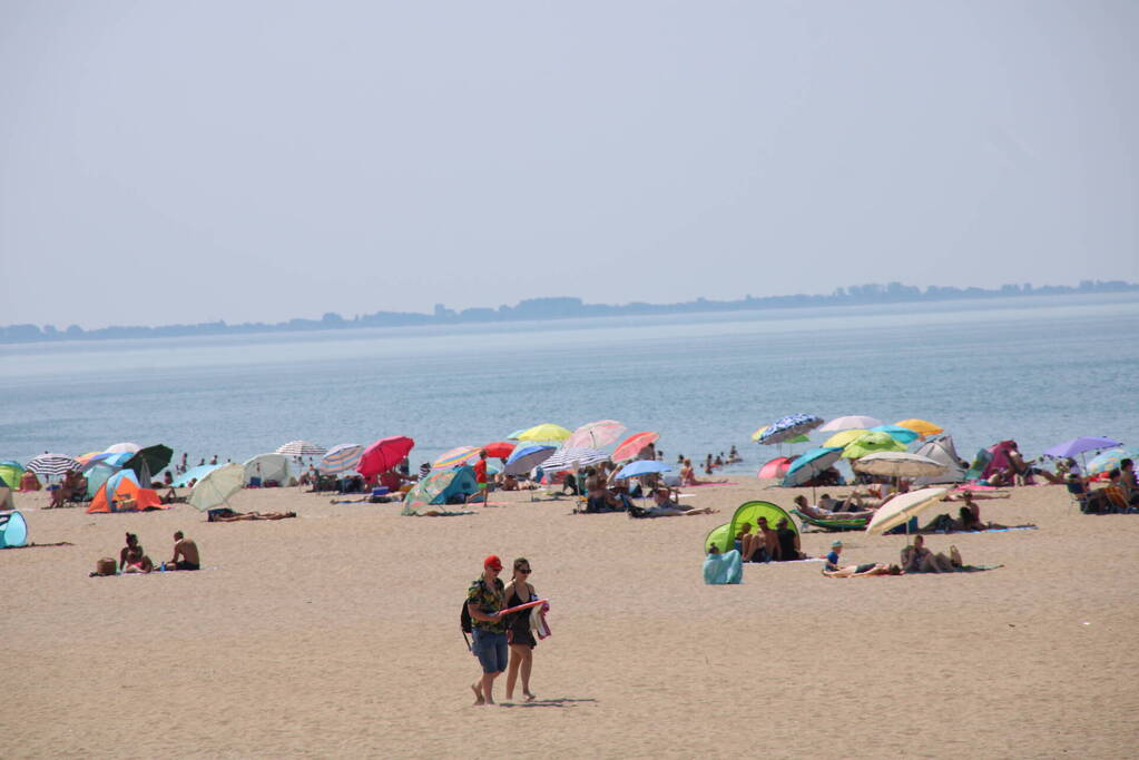 Drukte op het Maasvlaktestrand