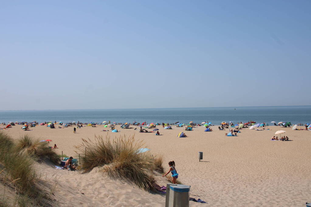Drukte op het Maasvlaktestrand