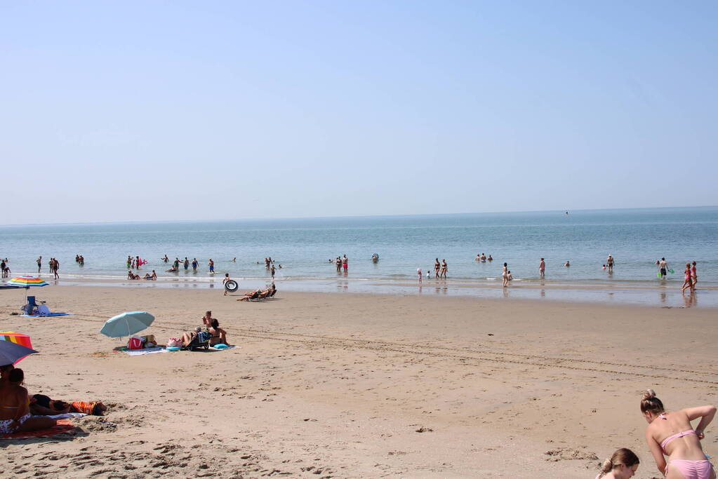 Drukte op het Maasvlaktestrand