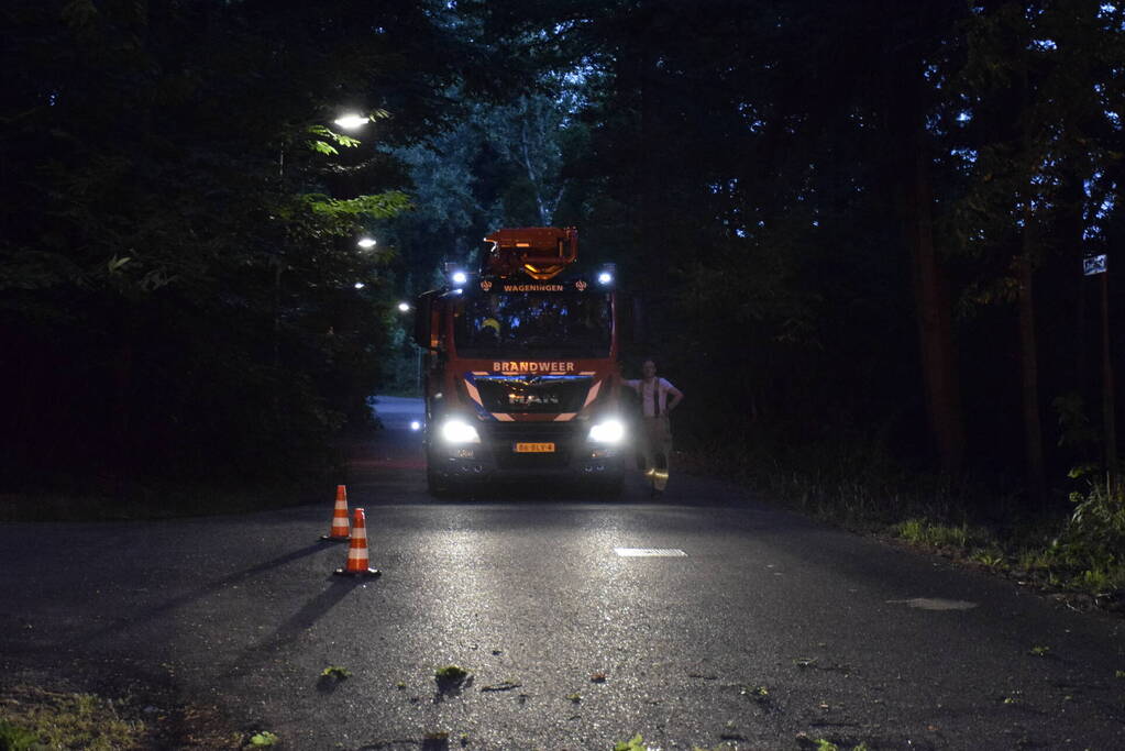 Grote tak verspert doorgaande weg