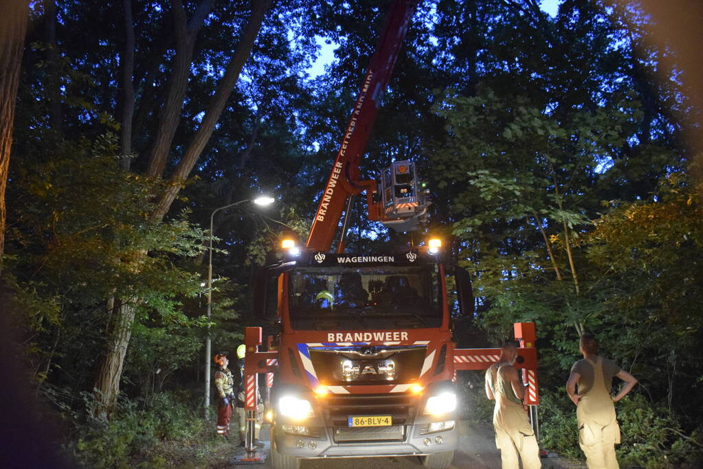 Grote tak verspert doorgaande weg