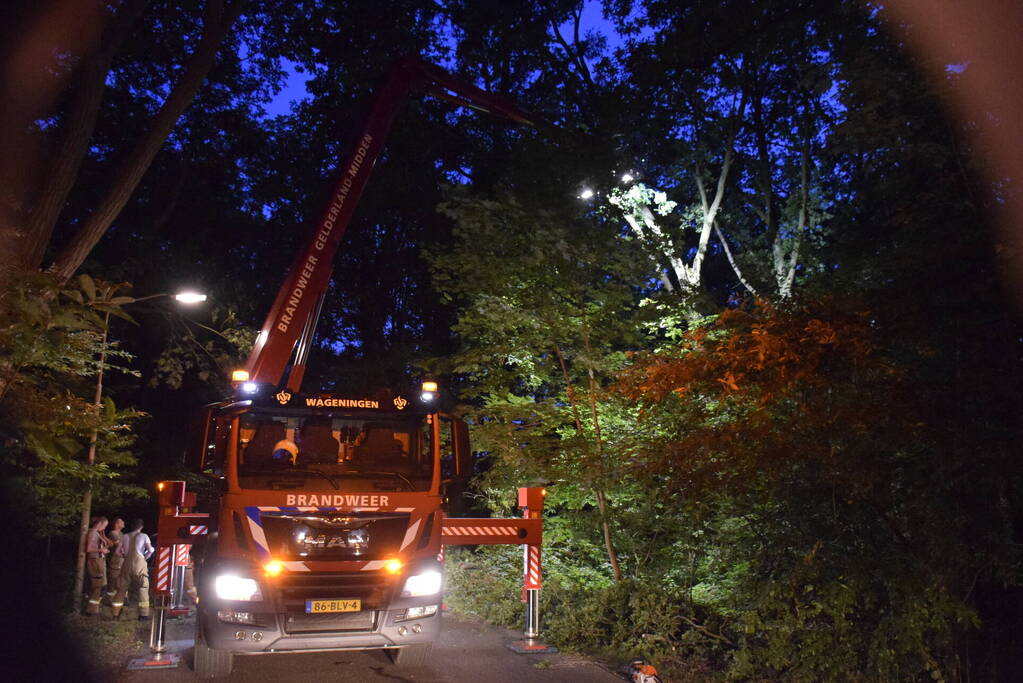 Grote tak verspert doorgaande weg