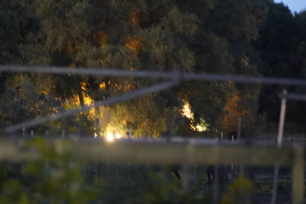 Drie stukken natuurgebied in brand