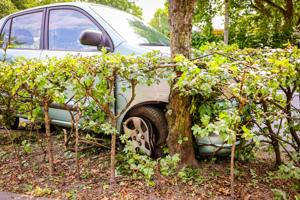 Auto knalt op boom