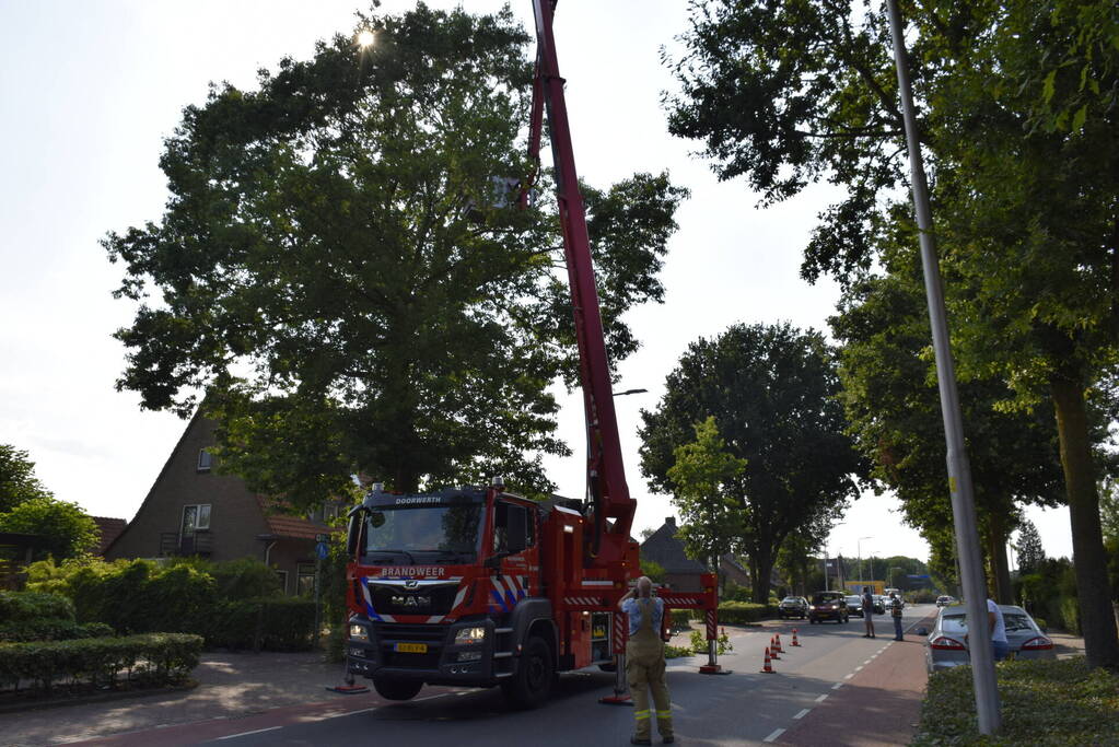 Brandweer verwijdert gevaarlijk hangende tak