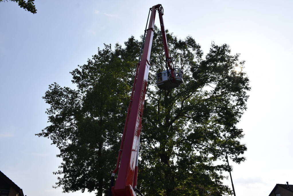 Brandweer verwijdert gevaarlijk hangende tak