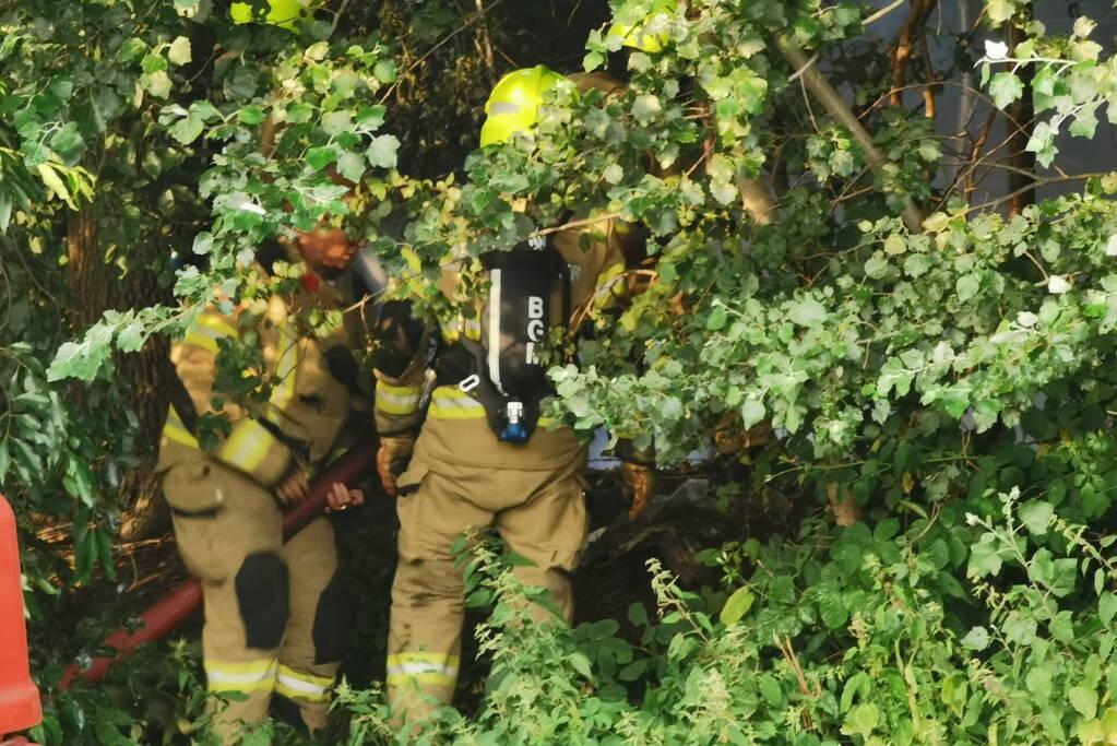 Bosjes in brand onder viaduct