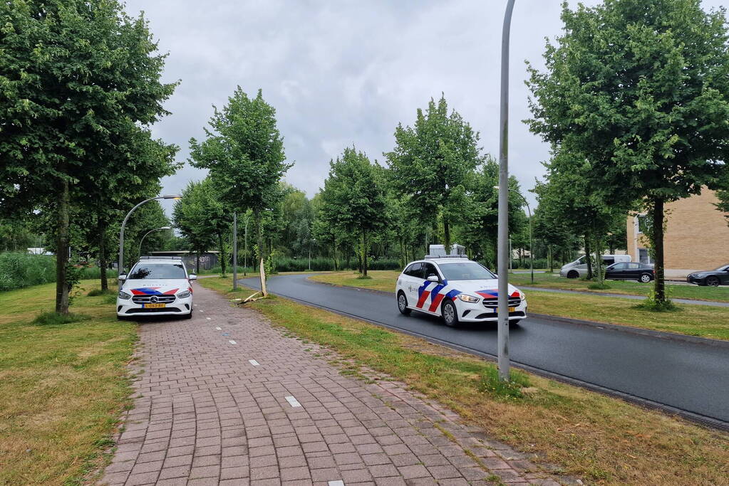 Automobiliste botst door gladheid op boom