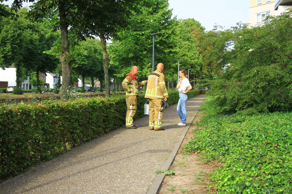 Meerdere kleine branden gesticht in bosschage