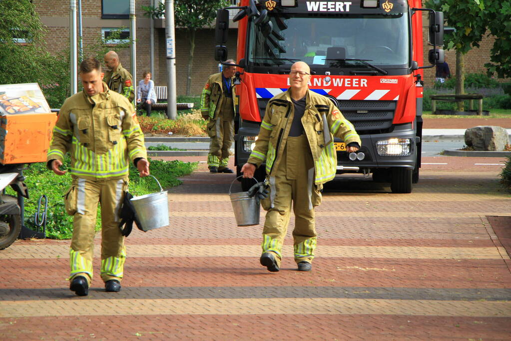 Meerdere kleine branden gesticht in bosschage