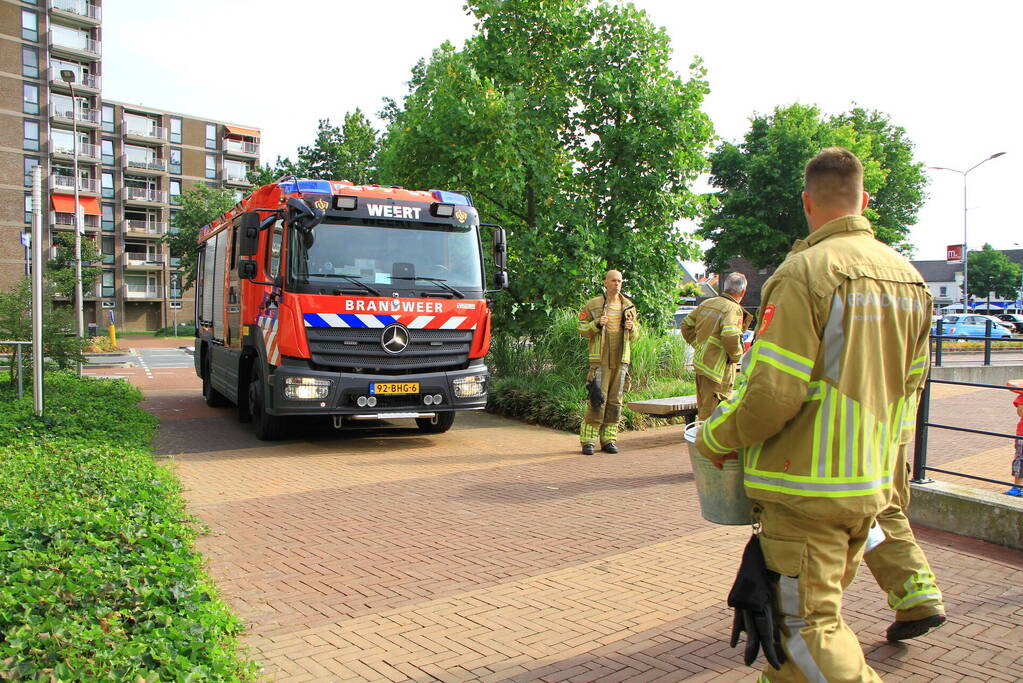 Meerdere kleine branden gesticht in bosschage