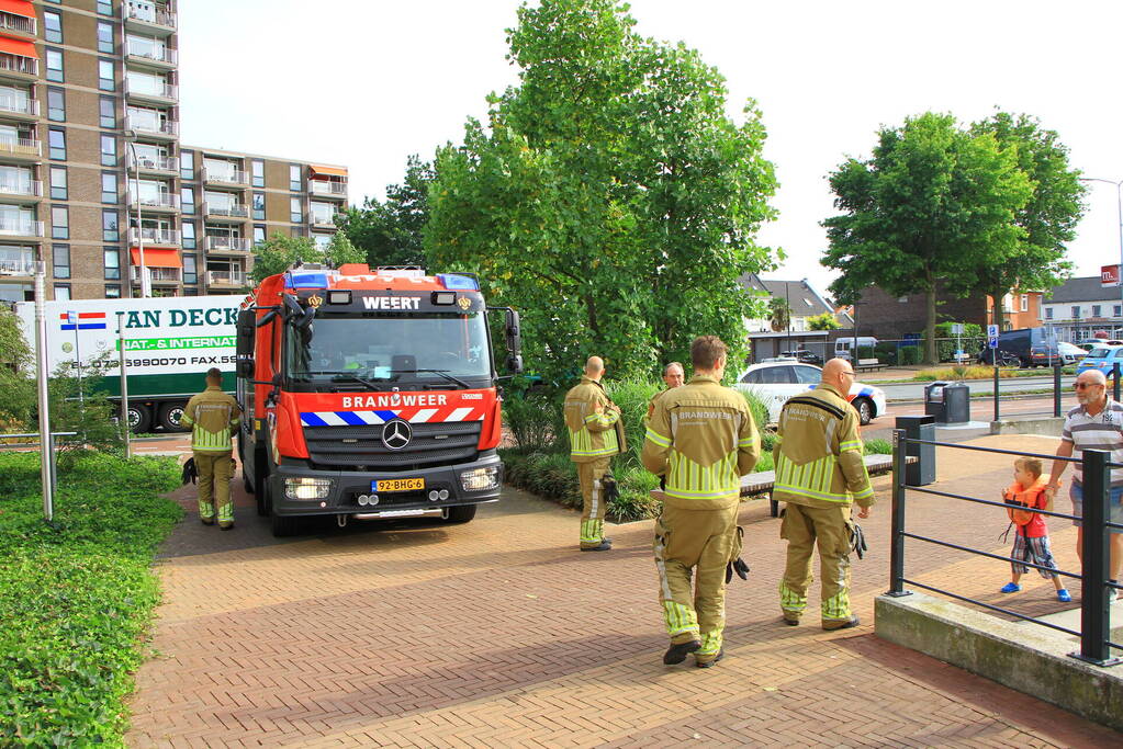 Meerdere kleine branden gesticht in bosschage