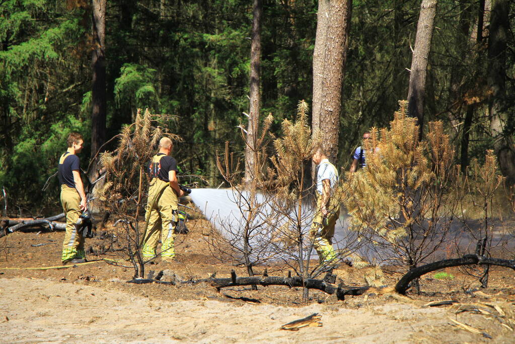 Stuk bosgebied in brand