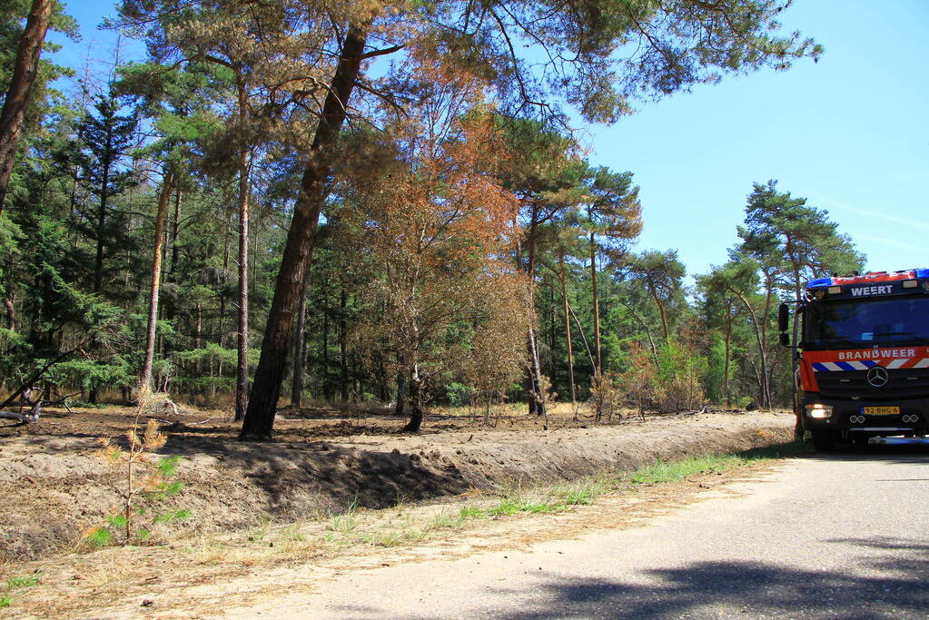 Stuk bosgebied in brand