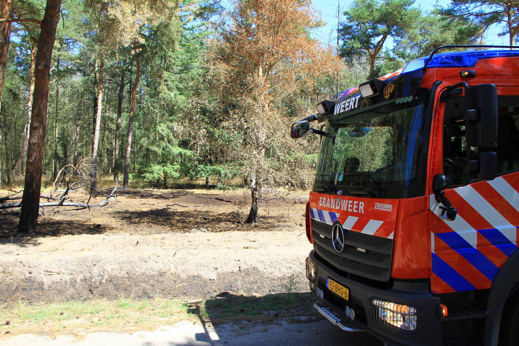 Stuk bosgebied in brand