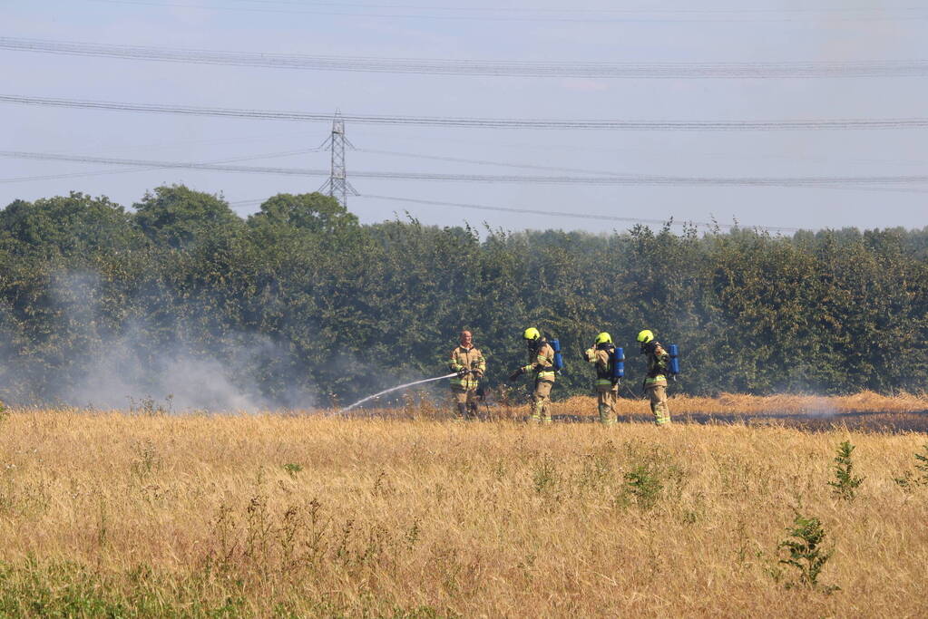 Flinke brand in graanveld
