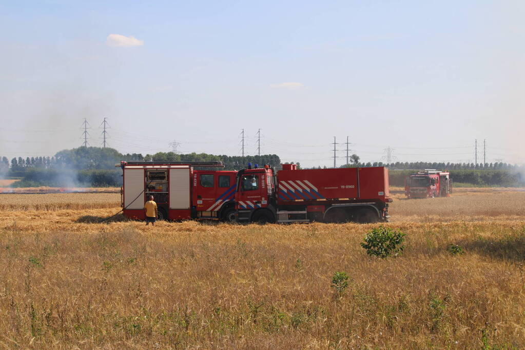 Flinke brand in graanveld