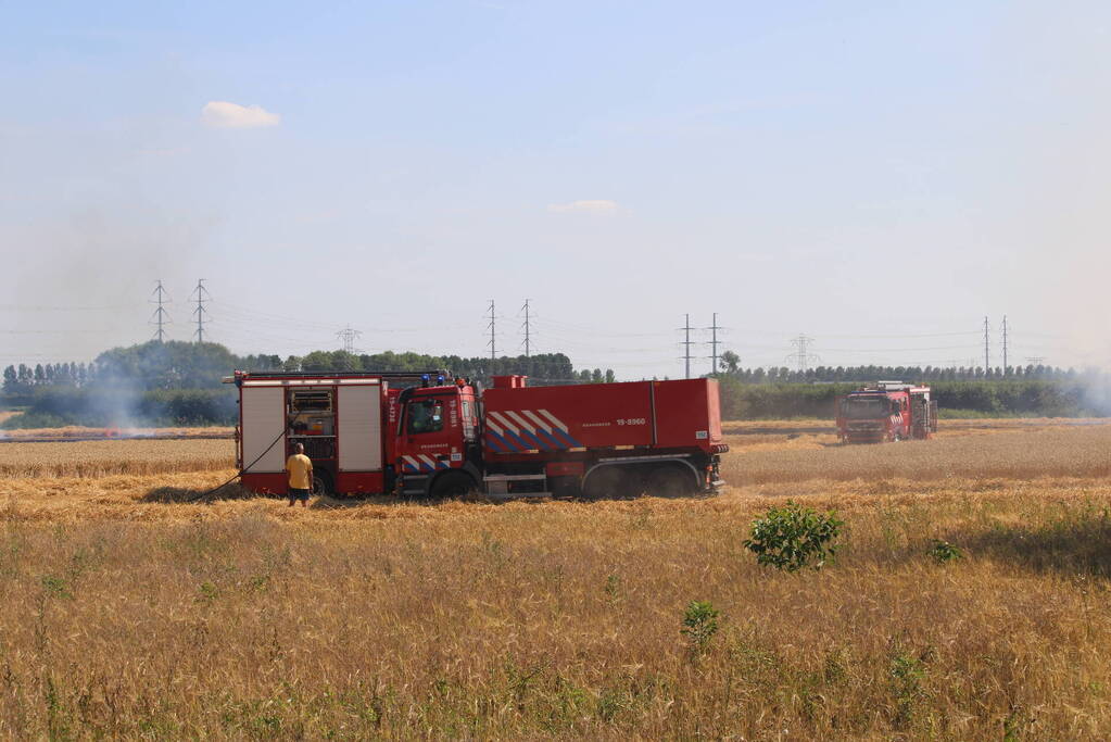 Flinke brand in graanveld