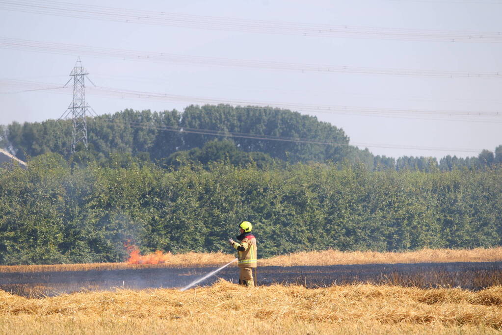 Flinke brand in graanveld