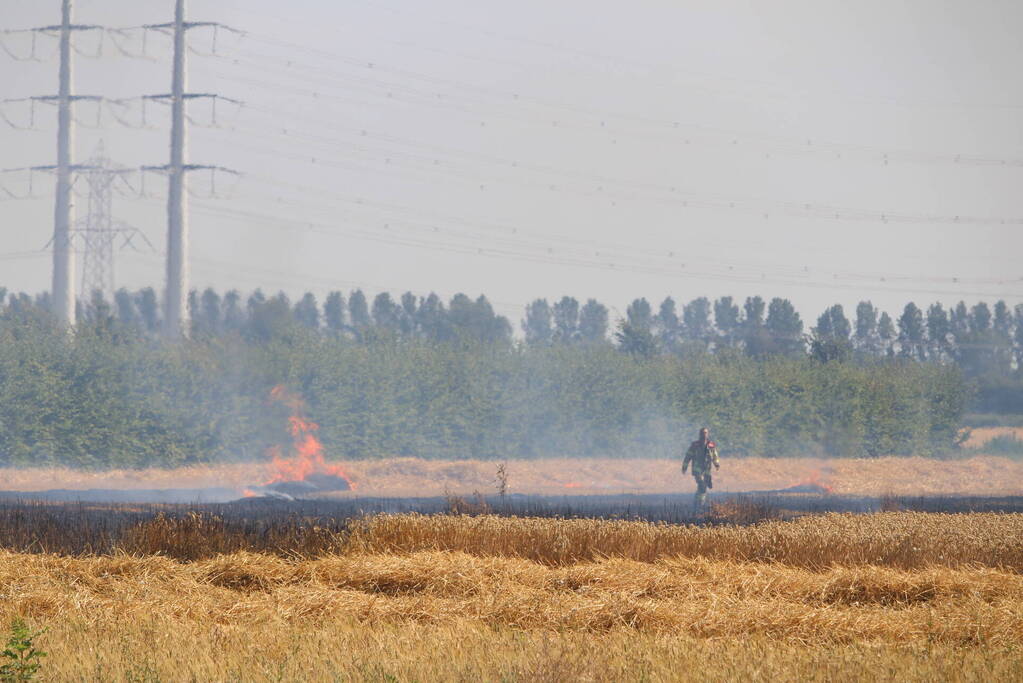 Flinke brand in graanveld