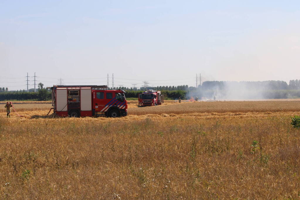 Flinke brand in graanveld