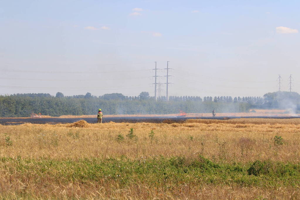 Flinke brand in graanveld