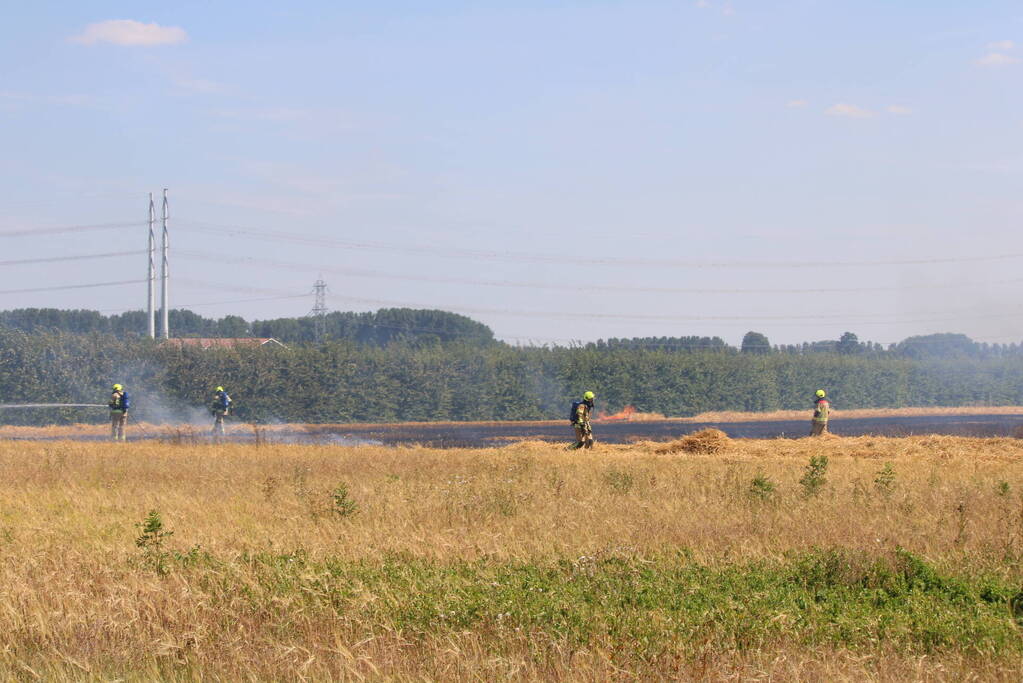 Flinke brand in graanveld