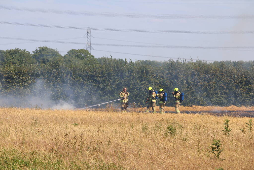 Flinke brand in graanveld