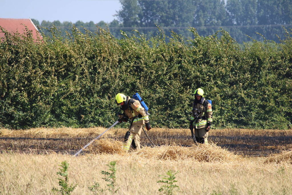 Flinke brand in graanveld